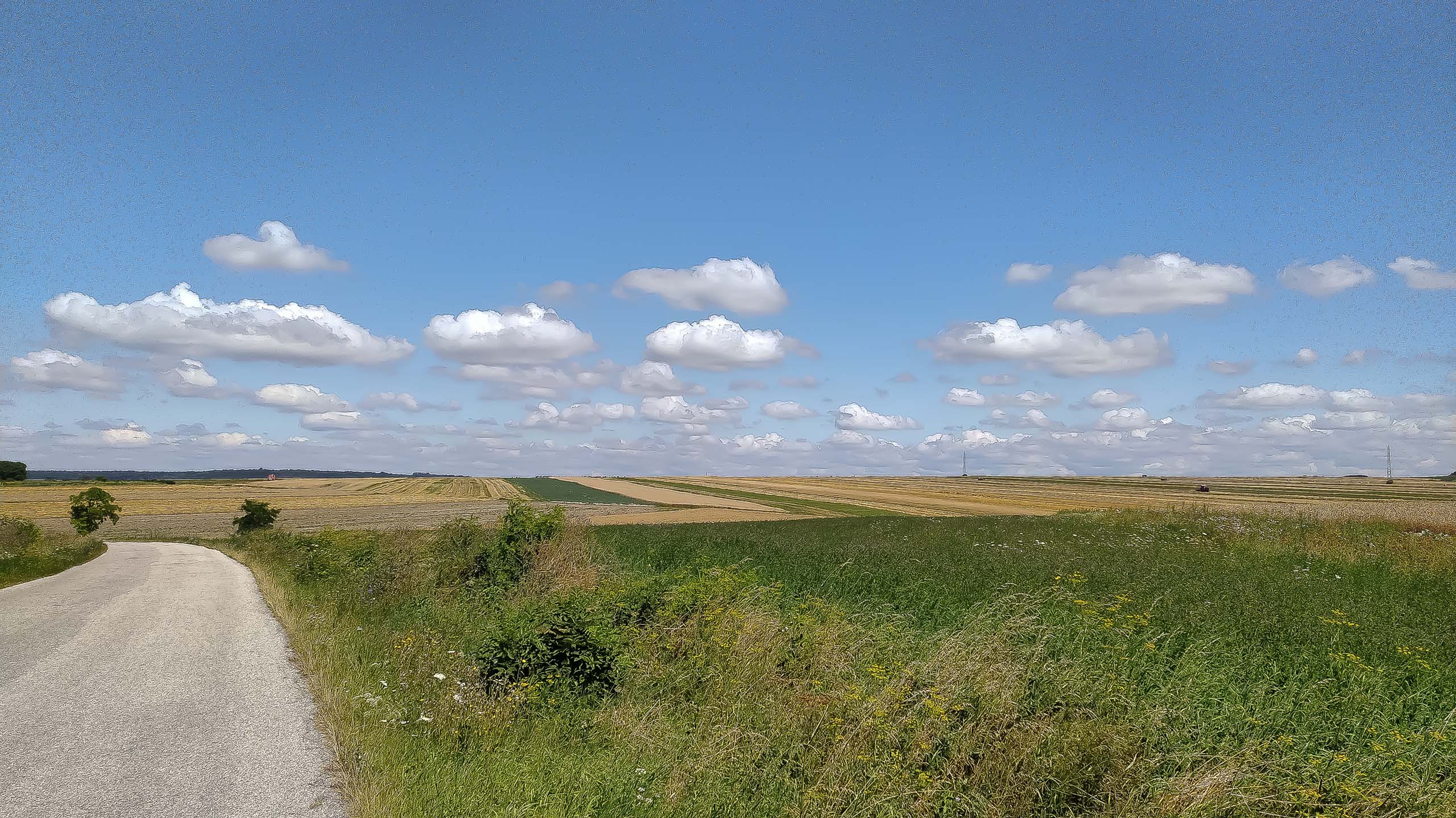 IMG 20200801 125751 kopia